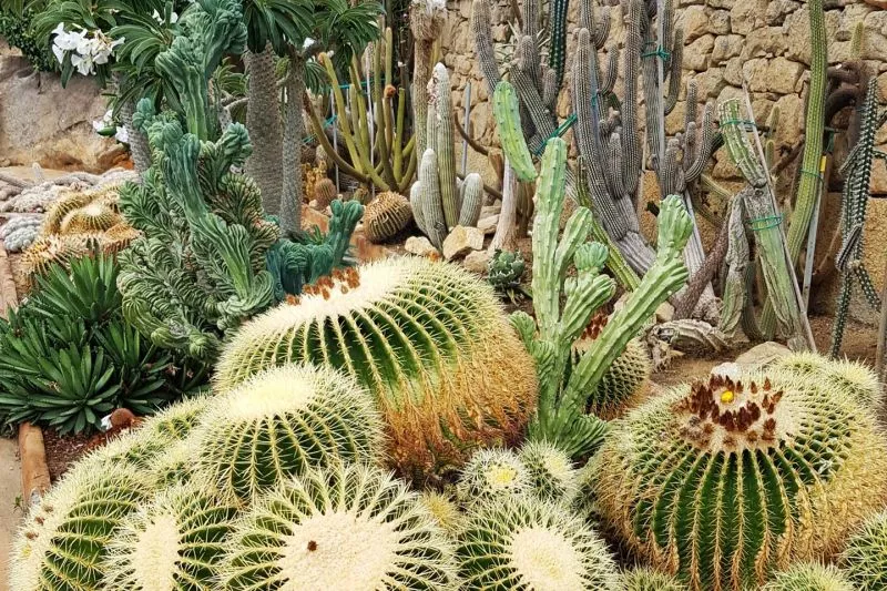 Jardines