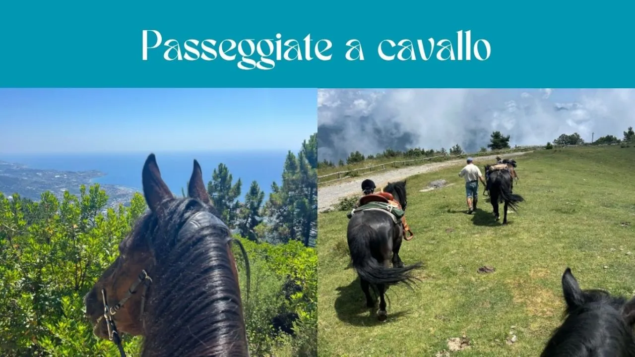 Horseback ride summer sanremo